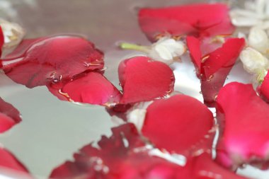 Suda süzülen gül yaprakları, yakın çekim, sığ alan derinliği
