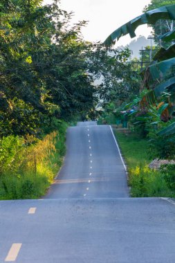 Asfalt köy yolu, Tayland kırsalında ağaçlar ve otlar..