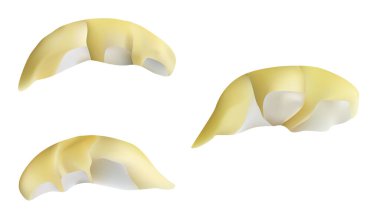 Vektör illüstrasyon durian Tayland meyvelerinin kralı