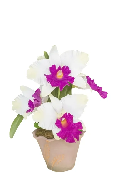 Konstgjorda Cattleya orkidé blommor — Stockfoto