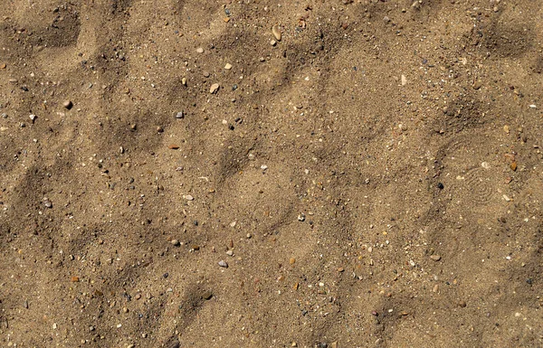 小石で川の砂のテクスチャ サンディの背景 — ストック写真