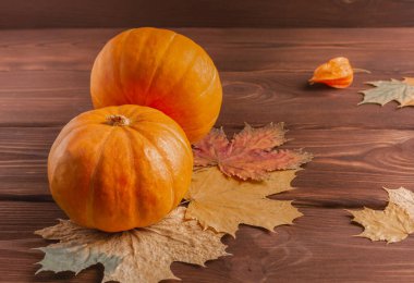 Sonbahar akçaağaç yapraklı iki portakal kabağı..