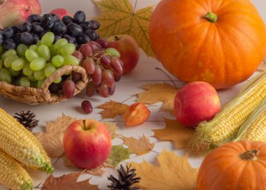 Ağaçtan bir arka planda üzüm, balkabağı, mısır ve elmalarla dolu bir sonbahar, seçici bir odak noktası.