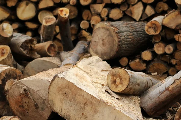 Fondo y textura de leña, madera de haya — Foto de Stock