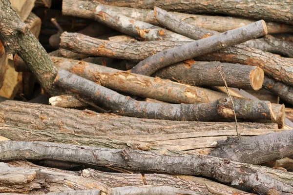 Fondo y textura de leña, madera de haya — Foto de Stock