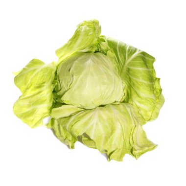 Beyaz arkaplanda yeşil lahana