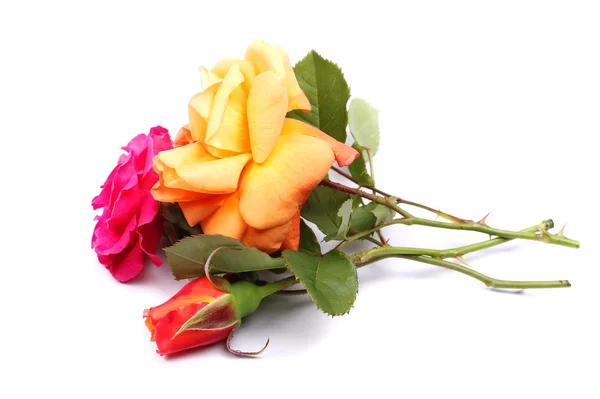 Kytice růží izolovaných na bílém pozadí — Stock fotografie
