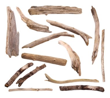  yüksek çözünürlüklü izole kırpma yoluyla, beyaz arka plan üzerinde twigs, set makro kuru dalları