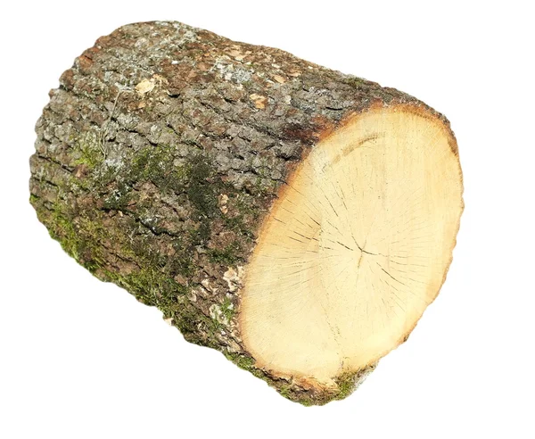 橡木的树桩，树桩日志木柴孤立与剪切路径的白色背景上 — 图库照片