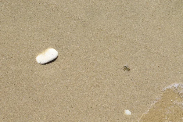 wet sand texture and background