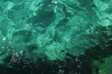 yeşil deniz yüzeyi dalgalar ile