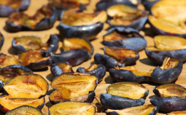 Mavi Erik arka plan kurutulmuş