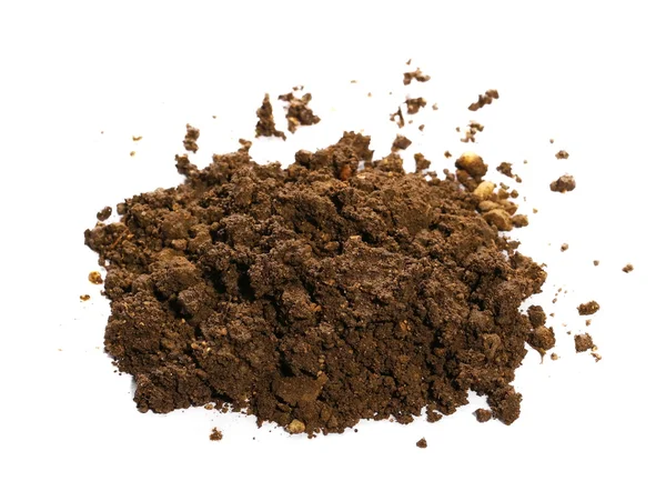 Pile of wet soil isolated on white background — Stock Photo, Image