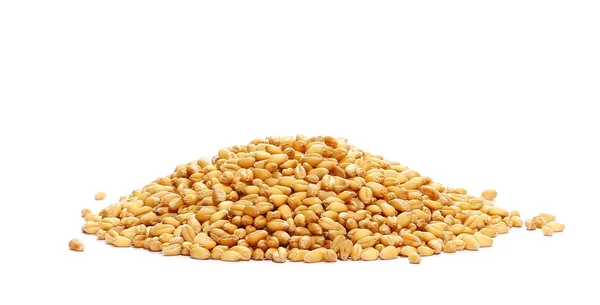 Weizenstapel Seitenansicht auf weißem Hintergrund — Stockfoto