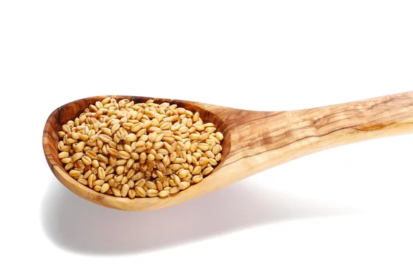 Cuchara de madera granos de trigo con cuchara de madera aislada sobre fondo blanco — Foto de Stock