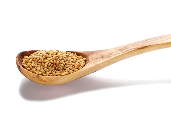 Grains de blé cuillère en bois avec cuillère en bois isolé sur fond blanc — Photo