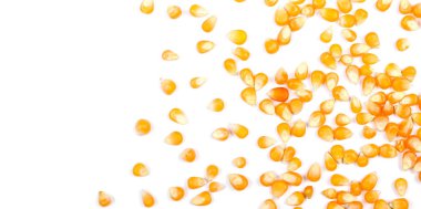 Patlamış Mısır için beyaz arka plan üzerinde izole sarı tahıl Mısır