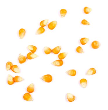 Patlamış Mısır için beyaz arka plan üzerinde izole sarı tahıl Mısır