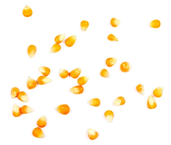 Maíz grano amarillo aislado sobre fondo blanco, para palomitas de maíz —  Fotos de Stock