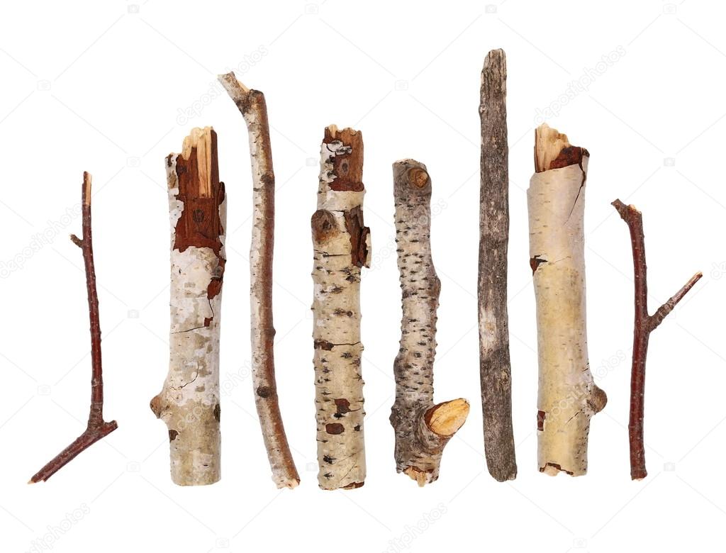 Twigs, set macro dry branches birch isolated on white background, with  clipping path Stock Photo by ©dusan964 124623210