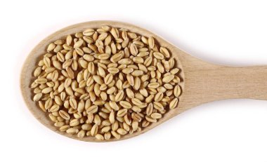 Buğday taneleri, tahta kaşıkta çekirdekler beyaz arka planda izole edilmiş, üst manzara