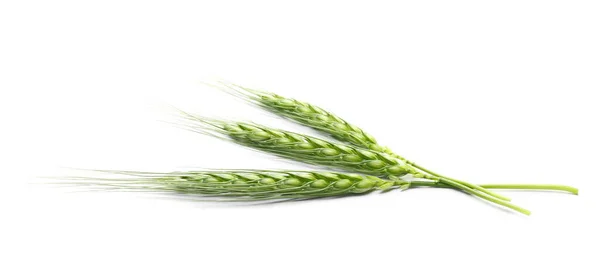 Green Young Ears Wheat Isolated White Background — Stock Photo, Image