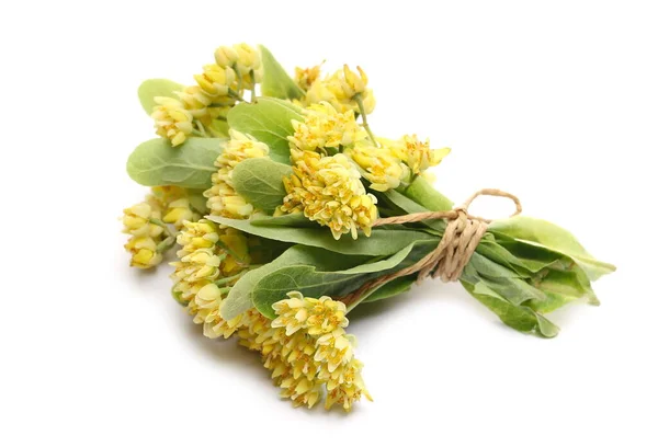 Buquê Flores Tília Fresco Amarrado Com Corda Isolada Fundo Branco — Fotografia de Stock