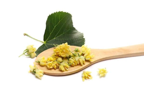 Linden Bloemen Houten Lepel Geïsoleerd Witte Achtergrond Stockfoto