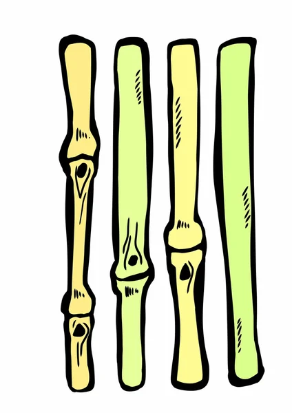 Kritzelbambus — Stockfoto