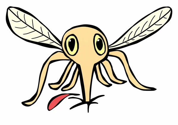 Hand drawn Mosquito — Stock Photo, Image