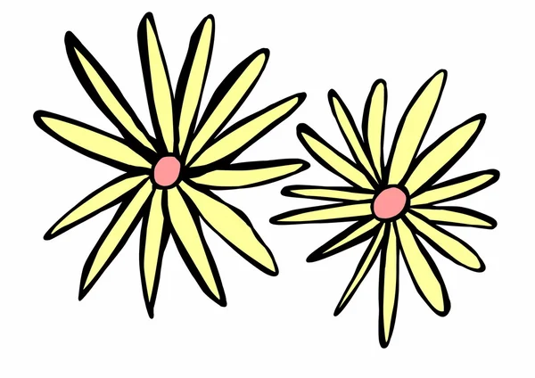Doodle floral — Stockfoto