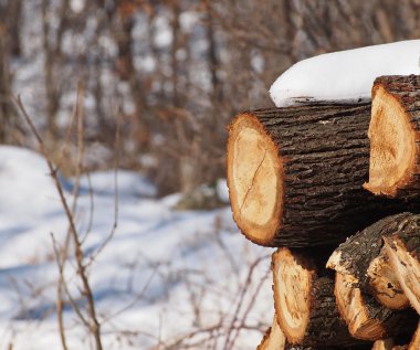 Stack of oak wood in  winter stock vector