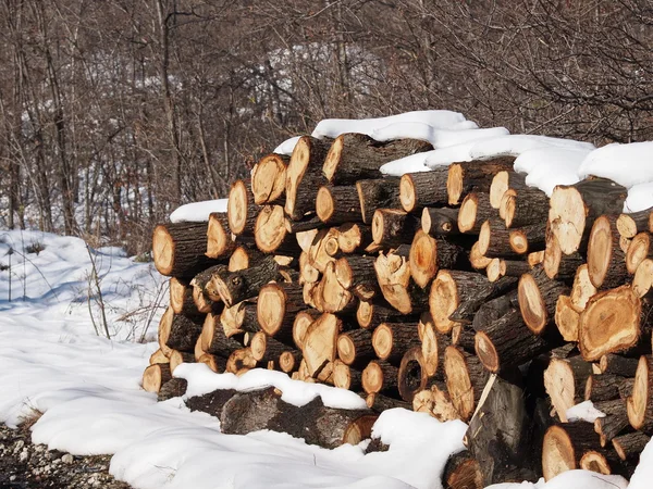 Stack of oak wood in  winter — Stock Photo, Image