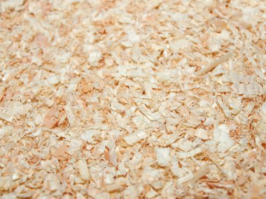 ahşap talaşı arka plan