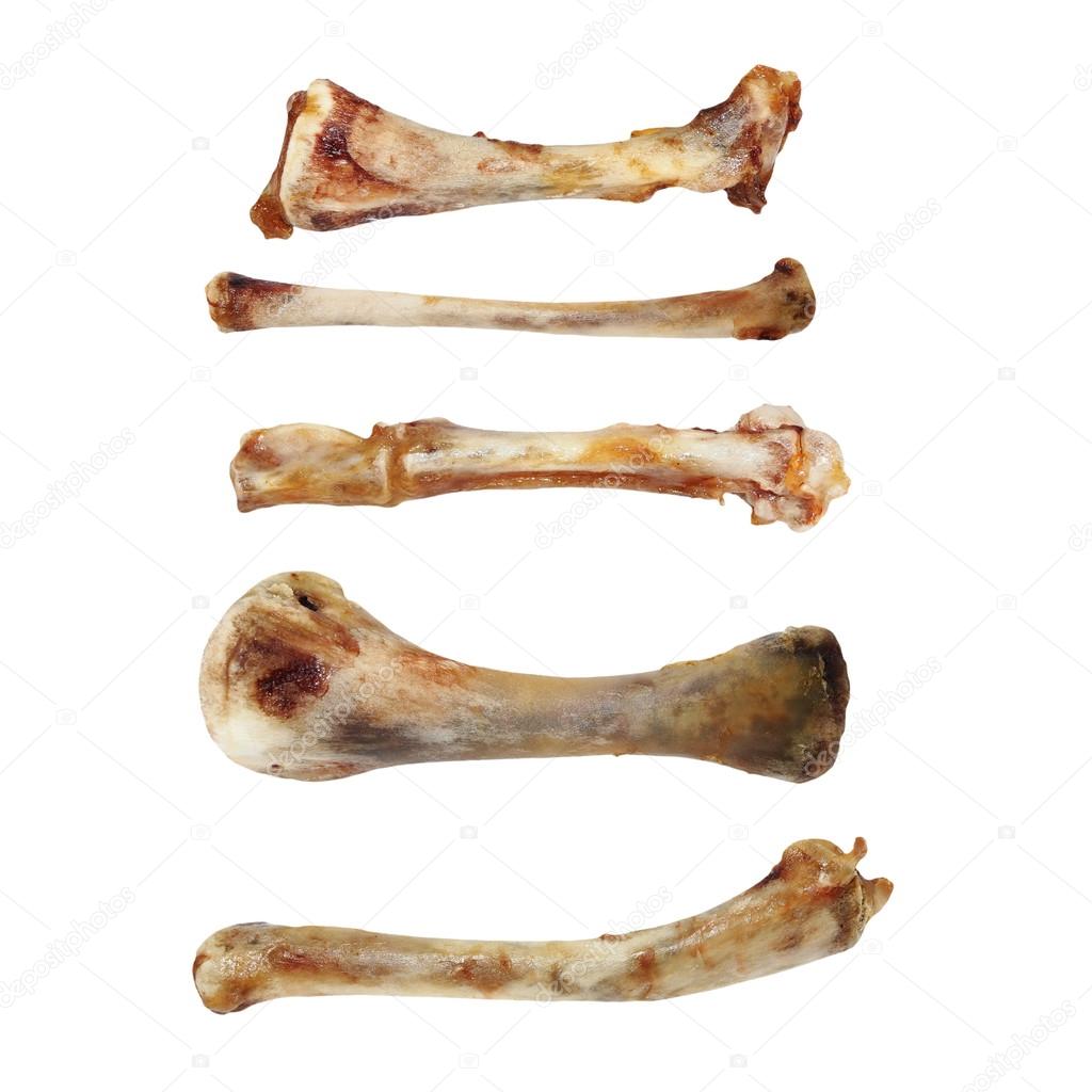 Set chicken bones, isolated on white background, (with clipping path)