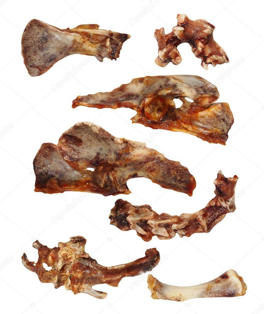 Set chicken bones, isolated on white background, (with clipping path)