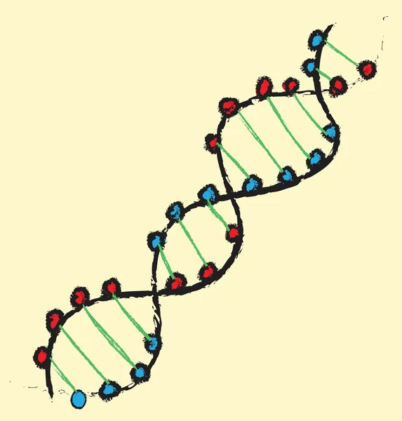 Cartoon DNA helix — Stock Photo, Image