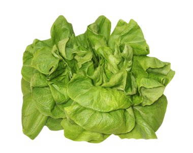 Kırpma yolu ile beyaz arka plan üzerinde izole marul