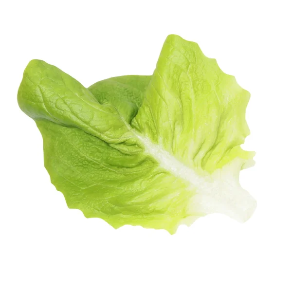 Лист салату ізольований на білому тлі, з відсічним контуром — стокове фото