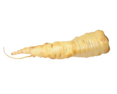 Beyaz arkaplanda izole edilmiş maydanoz kökü