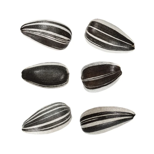 Macro sunflower seeds isolated on white, (with clipping path) — Stock Photo, Image