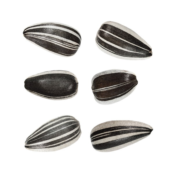 Macro sunflower seeds isolated on white, (with clipping path)