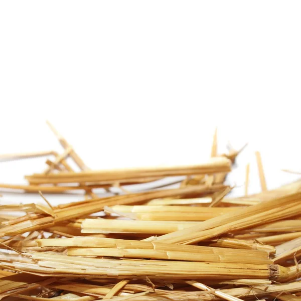 Pile straw isolated on white background — Stock Photo, Image