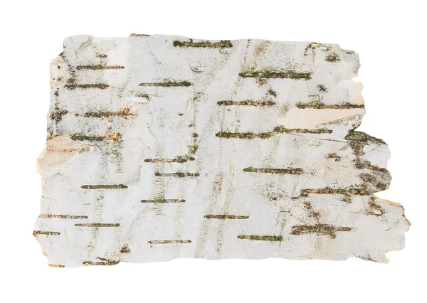 Corteccia di betulla isolata su sfondo bianco, con percorso di ritaglio — Foto Stock