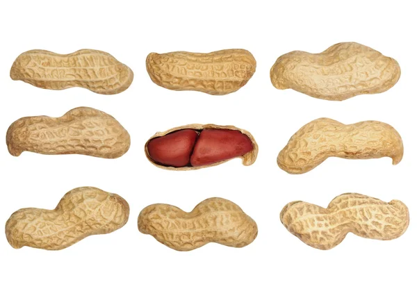 Conjunto macro de amendoins isolado no fundo branco — Fotografia de Stock