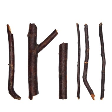 Beyaz arka plan üzerinde izole makro şubeleri