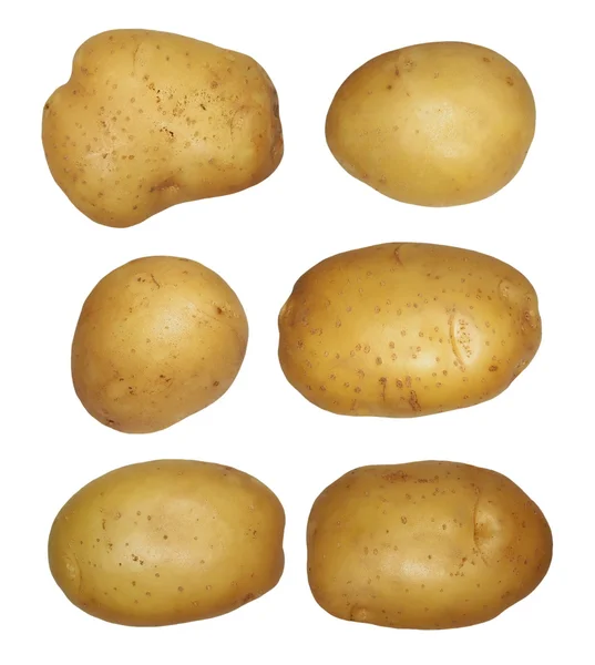 Набір картоплі ізольований на білому фоні, з відсічним контуром — стокове фото