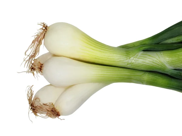 Young onion bulbs with green sprouts isolated on white — Stock Photo, Image