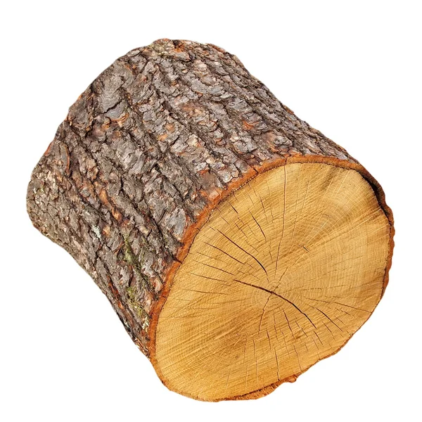 Oak stump, log fire wood isolated on white background with clipping path — Stock Photo, Image