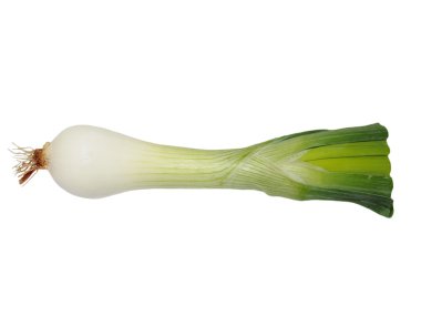 Genç soğan ampuller üzerinde beyaz izole yeşil filizi ile